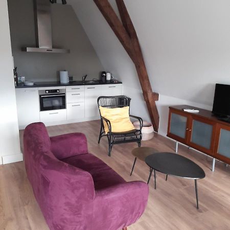 Historic Renovated Apartment With Balcony And Garden View Gouda Zewnętrze zdjęcie